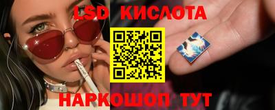 мяу мяу мука Краснокаменск