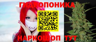 прущие грибы Краснодар