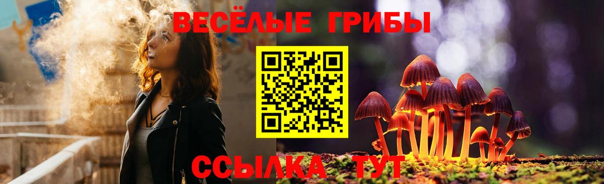 Псилоцибиновые грибы Psilocybine cubensis Кондопога